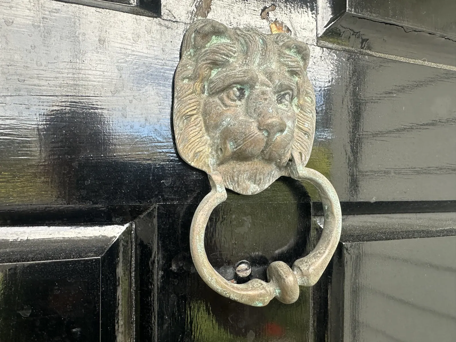 Brass lion door knocker hanging crooked on a black front door in Mellons Bay, lifted away from the timber at one corner