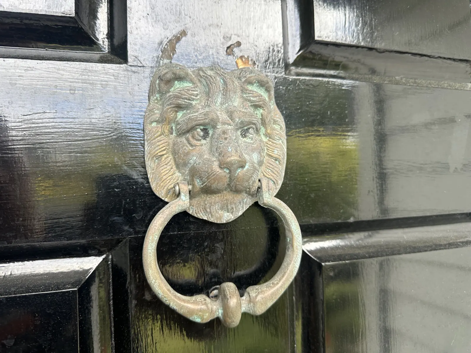The same lion door knocker back on square and flat against the door, fixed solid