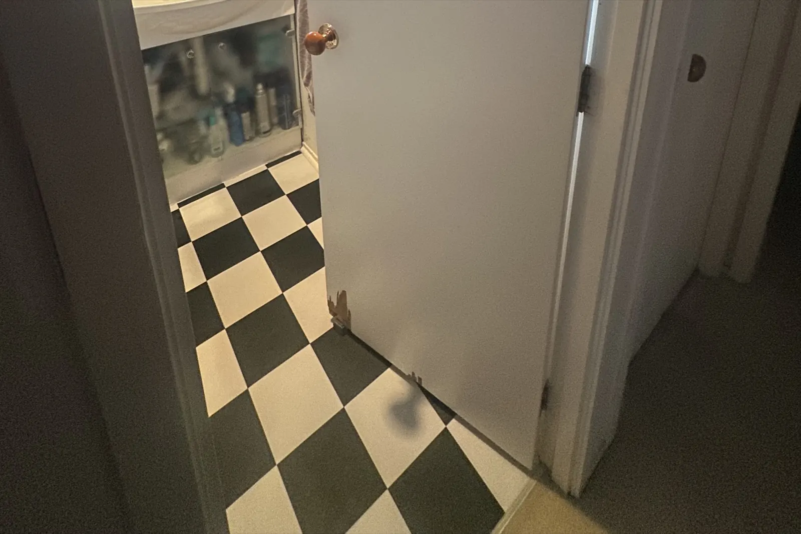 Bathroom door with a broken, splintered bottom edge before replacement in Farm Cove, East Auckland