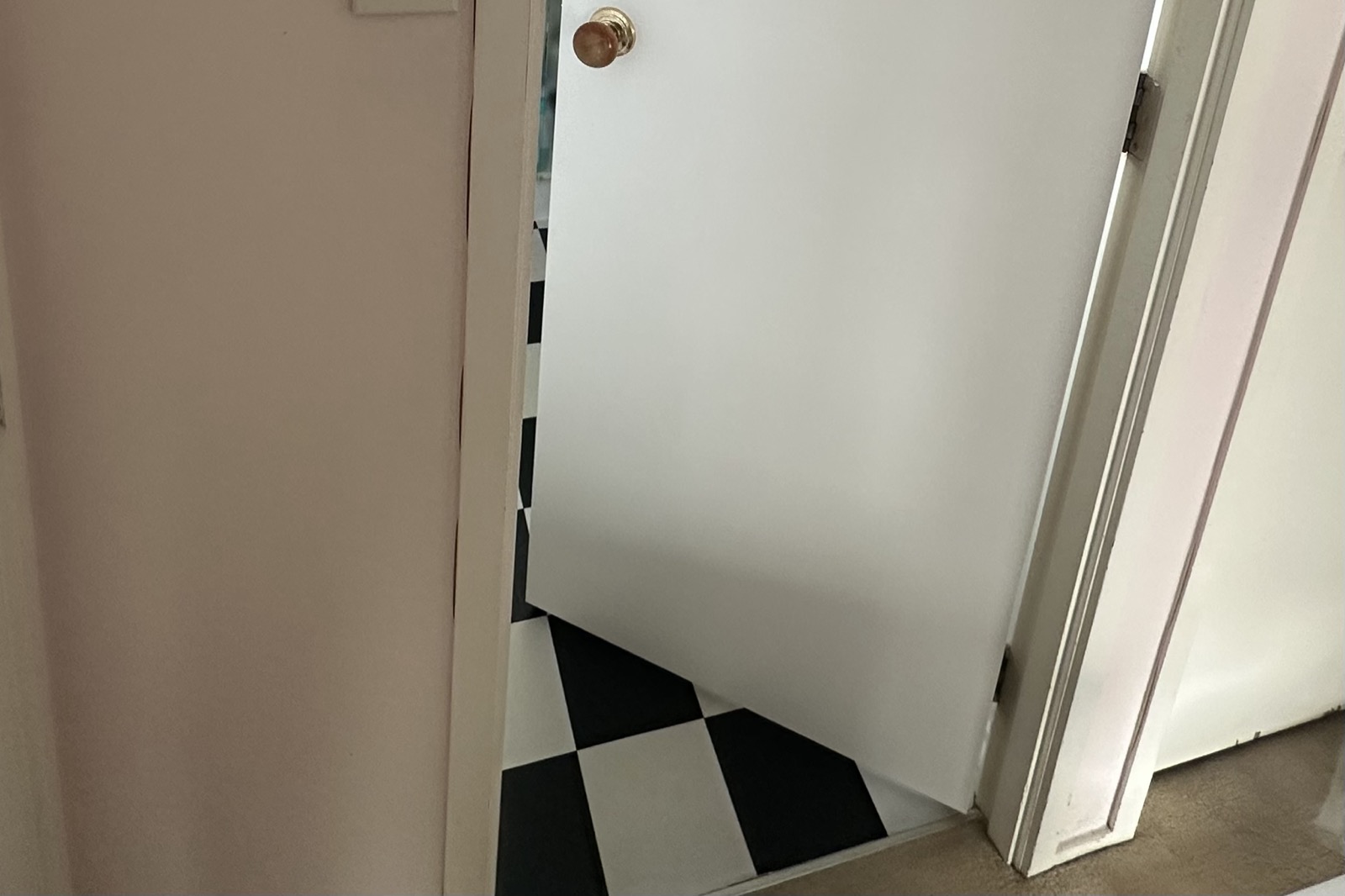 Bathroom Door Replacement