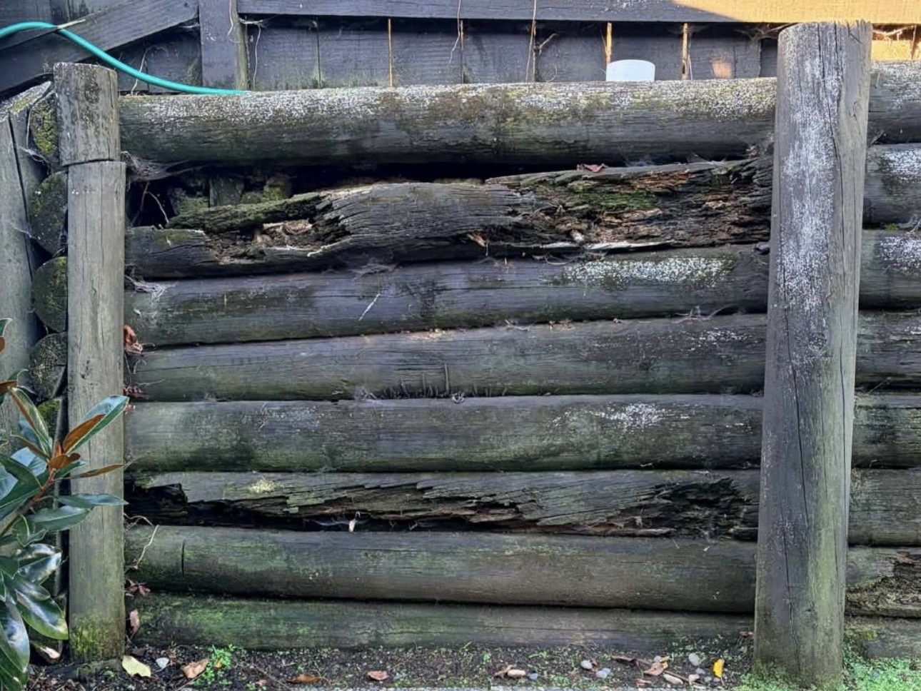 Damaged timber sleepers in a retaining wall before repair in Botany Downs, East Auckland