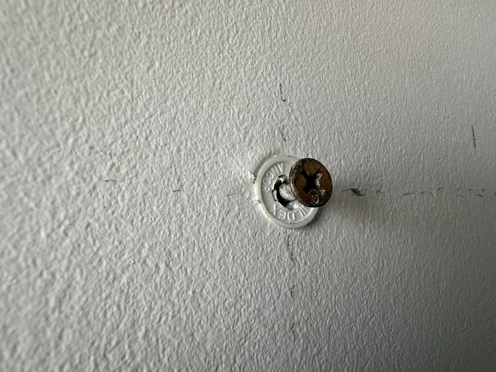 Wall anchor and screw fitted into the bathroom wall, set on a pencilled level line