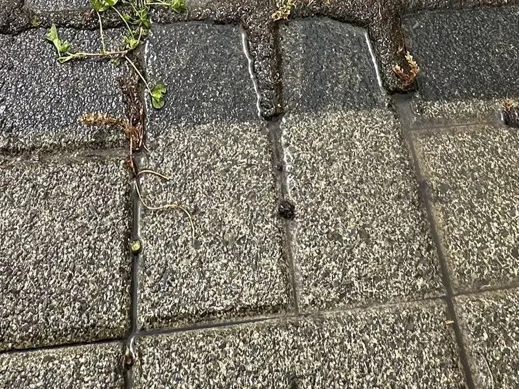 Paving Water Blasting & Weed Removal — Golflands