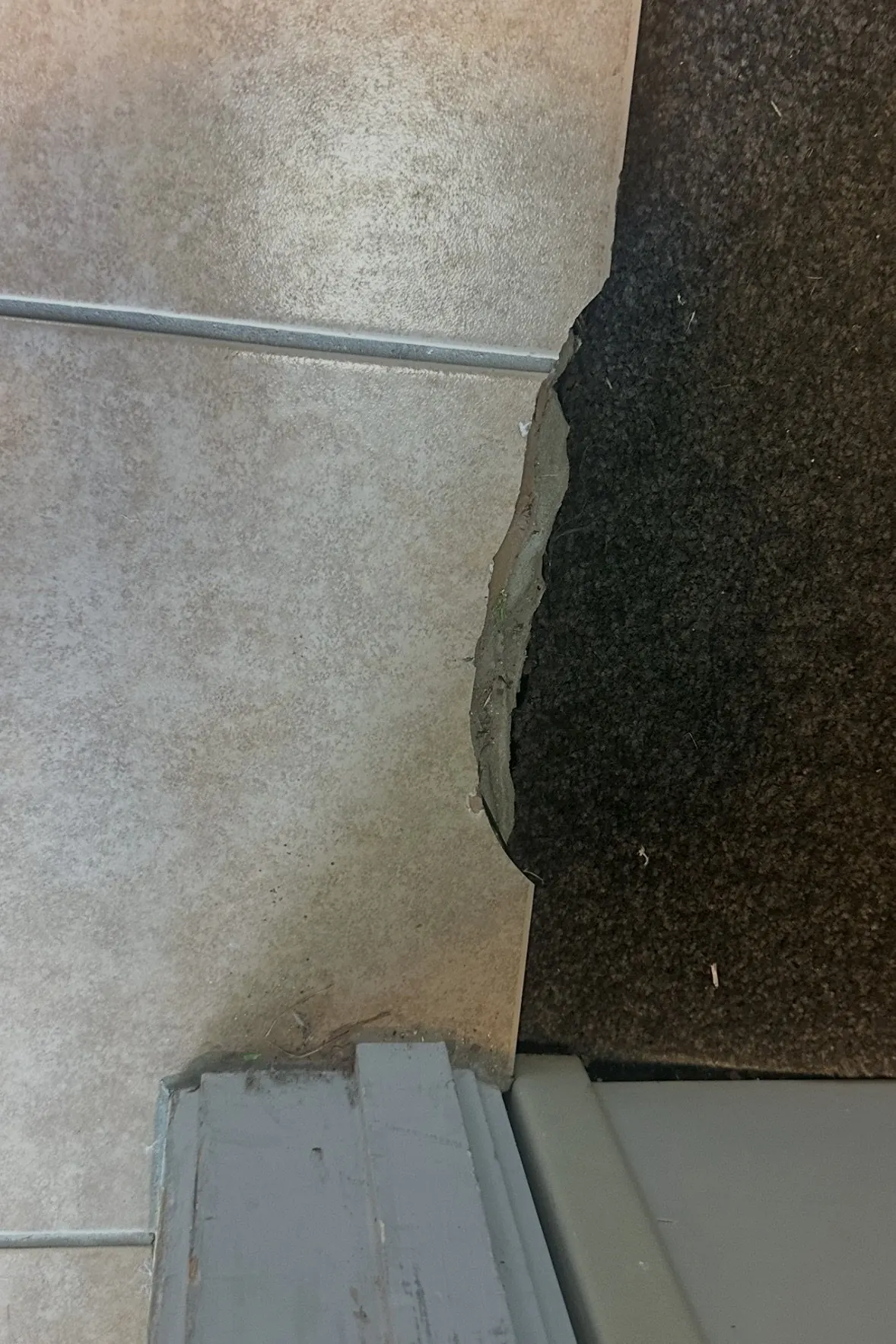 Cracked and chipped floor tile at a dental clinic entrance requiring professional tile repair in Flat Bush, Auckland