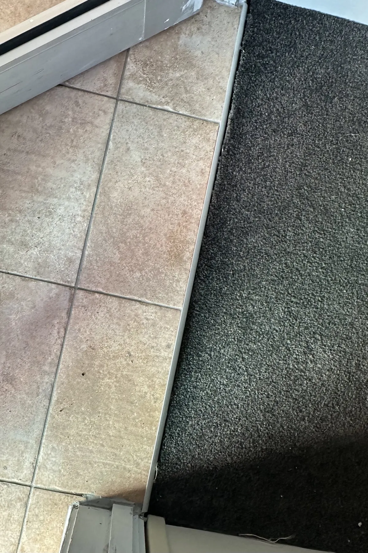 Dental Clinic Entrance Tile Repair