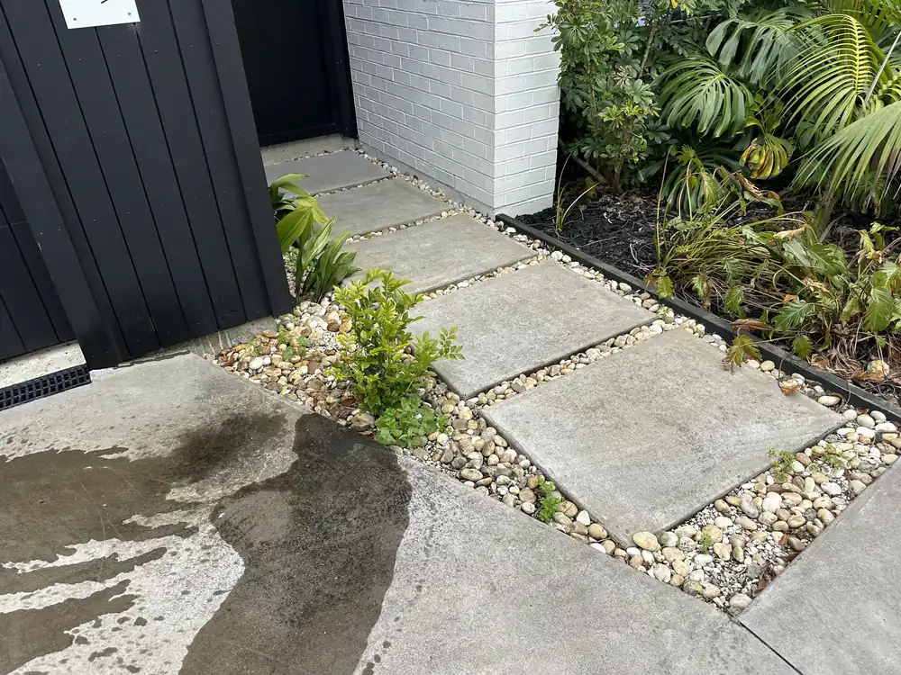 Path and driveway section at the front entrance of a Pakuranga house, half water blasted, showing the dirty and clean concrete side by side