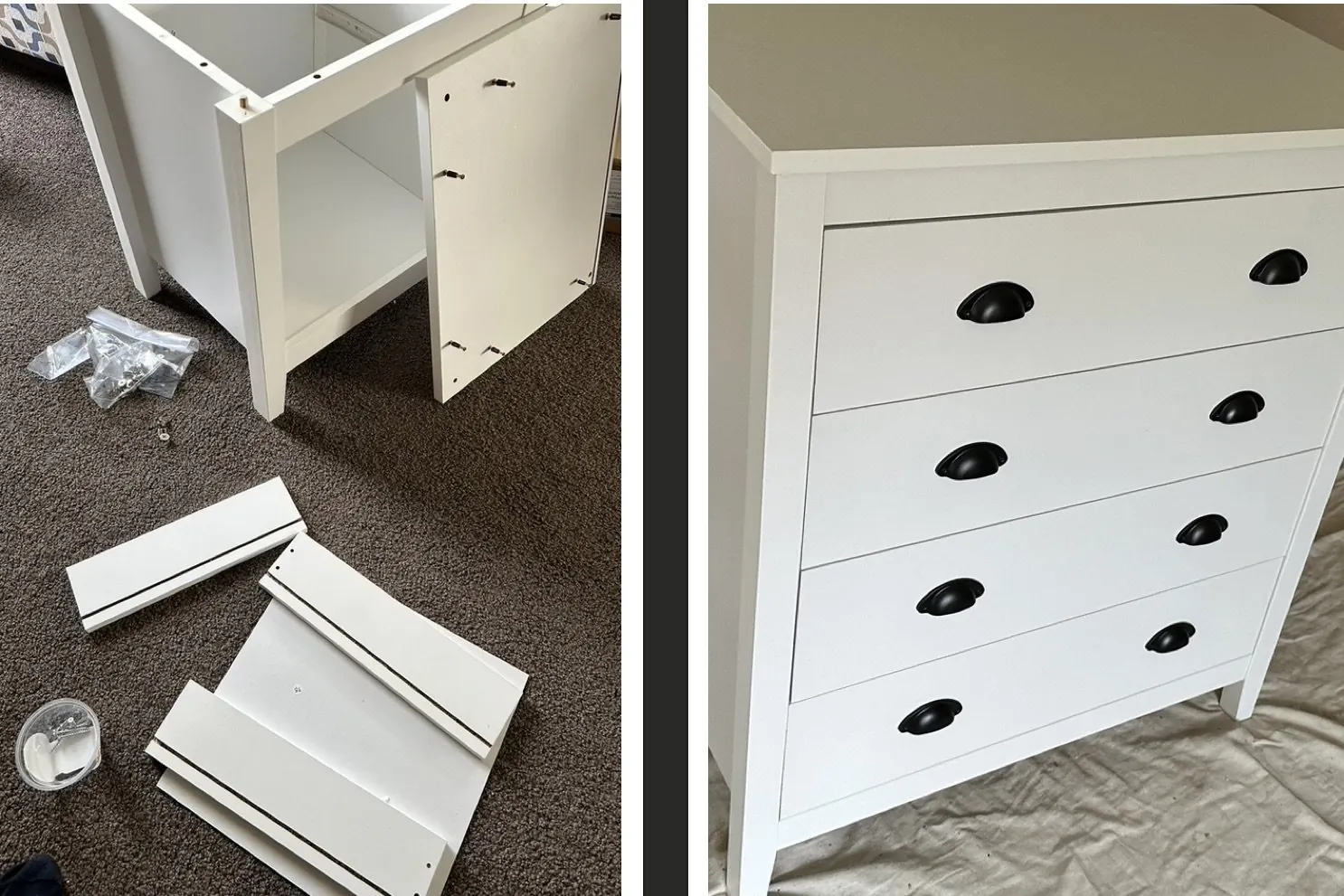 Handyman Botany — Furniture Assembly