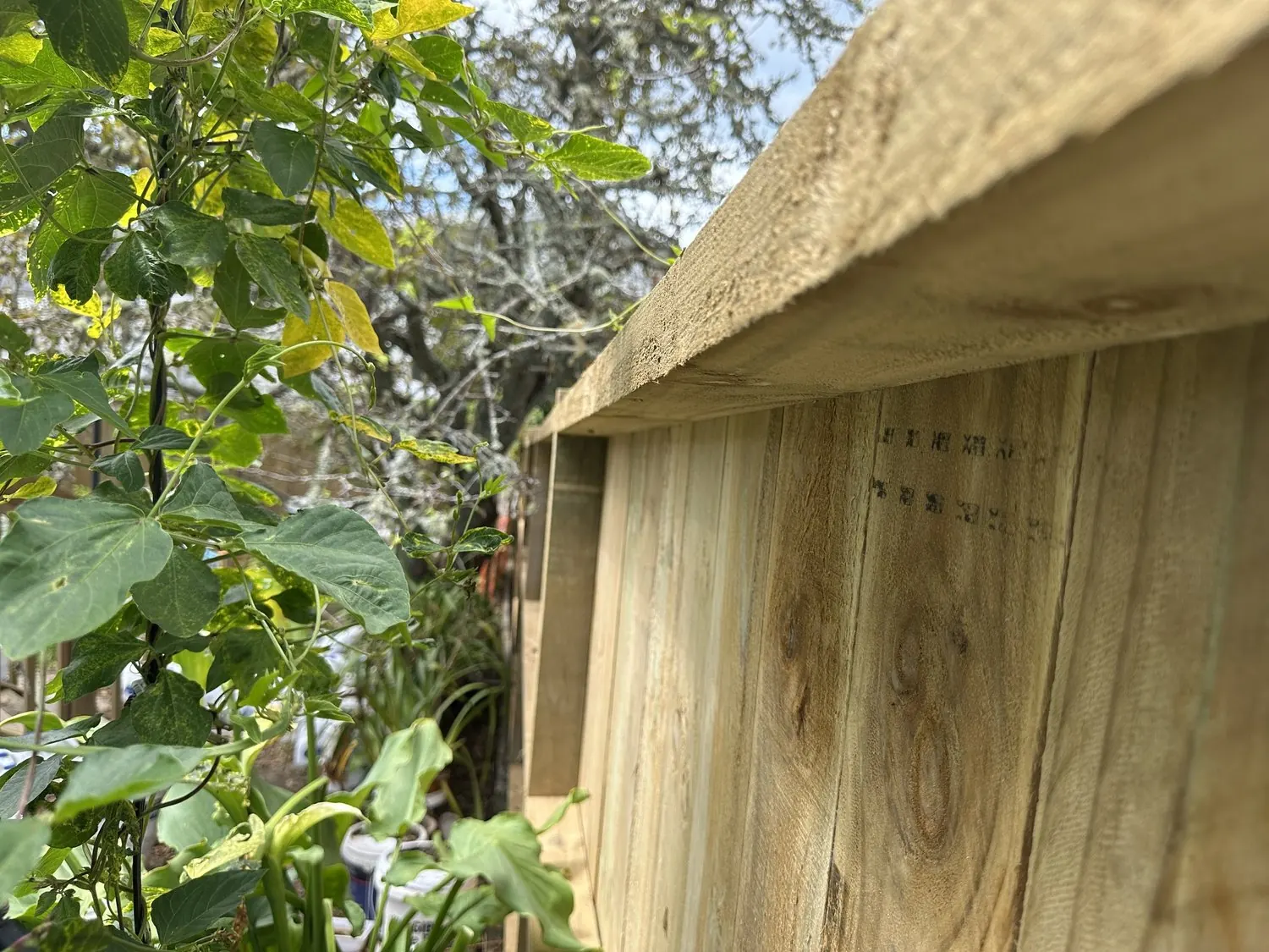 New timber fence boards and framing detail during a fence replacement project in Pakuranga